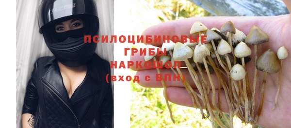 мескалин Карпинск
