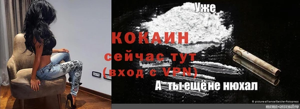 мескалин Карпинск