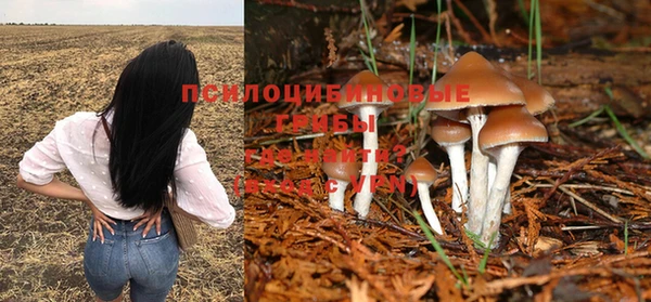 мескалин Карпинск
