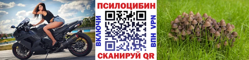 Псилоцибиновые грибы Magic Shrooms  Купить закладки  Ленинск-Кузнецкий 